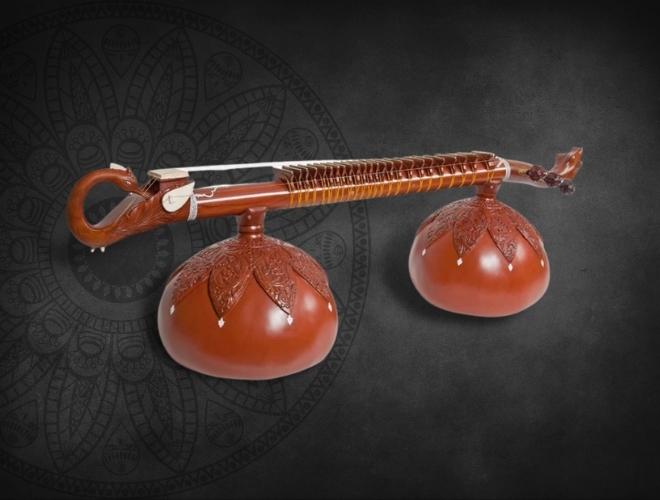 A classical musician performing Dhrupad, a music style linked to Sanchi.