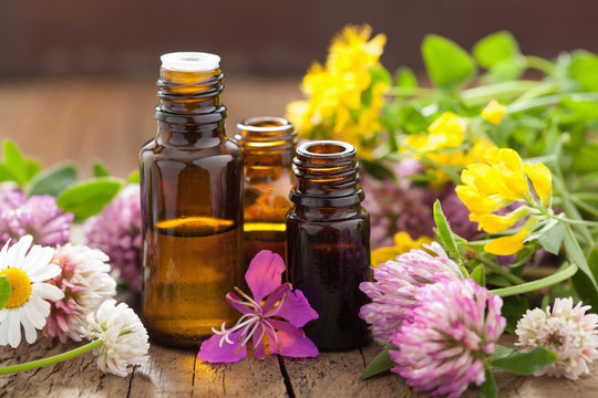 A collection of eucalyptus and herbal essential oil bottles.