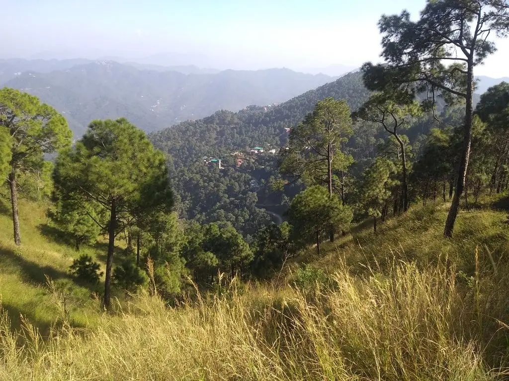 Kasauli a peaceful walk along the scenic Gilbert Trail surrounded by oak and pine trees.