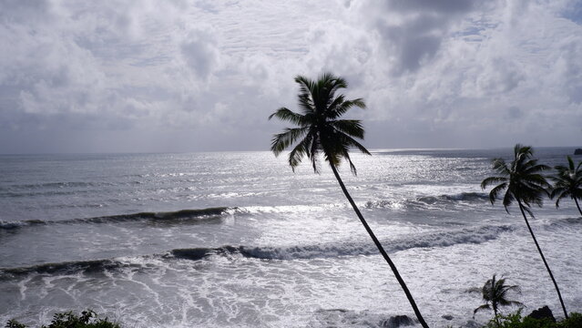 A panoramic view of the Monsoon Valley vineyard in Goa, showing lush green terraces of grapevines covering rolling hills under a misty sky.