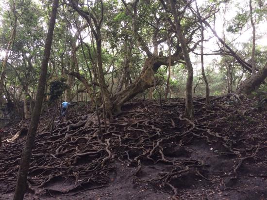 The narrow, deep crevices and rock formations between the boulders of Guna Caves.