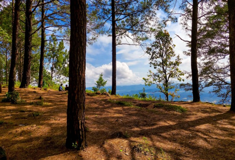 East India's Famous Hill Stations is beautiful all around