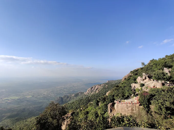 Known for its calming nature