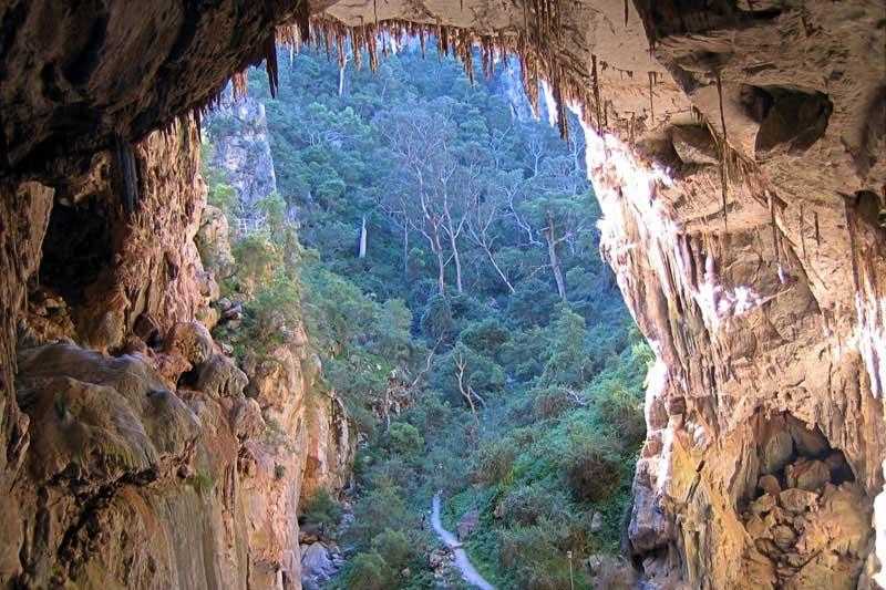 The dark, narrow entrance to the ancient Kukal Cave, surrounded by forest.