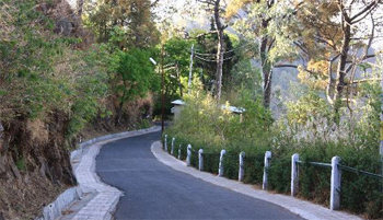 A picturesque and romantic walking trail through the forests of Kasauli.
