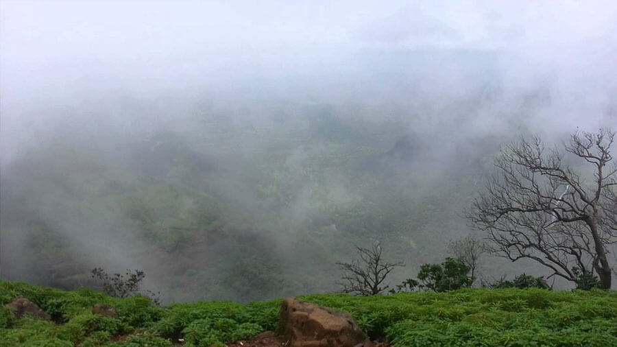 Central India's Famous Hill Stations - Mainpat, the picturesque "Mini Tibet" of Chhattisgarh with lush tea gardens.