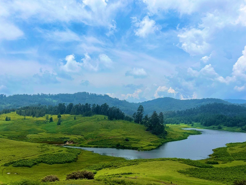 A shepherd herding sheep across the vast green meadows of Mannavanur Farm with a lake in the background.