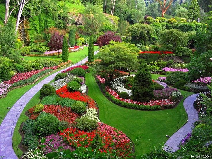 Lush pathways at the Tamil Nadu Agricultural University Botanical Garden in Coimbatore.