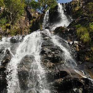 A tall, serene waterfall near ancient rock caves, surrounded by lush green forests, a prime example of Central India's Famous Waterfalls.