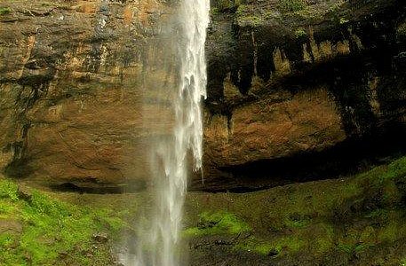 A multi-tiered waterfall cascading down the rocky, green slopes of Pandavgad Fort during the monsoon season.