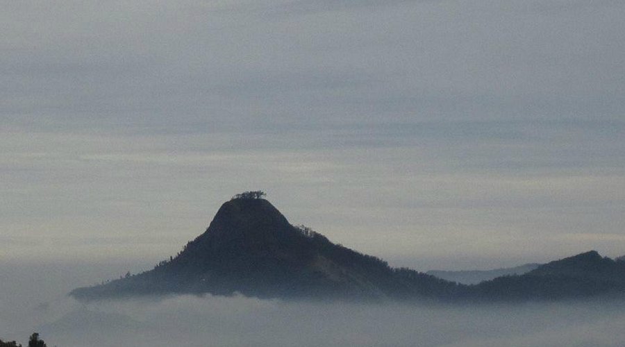 A view of the challenging trekking trail leading up to the summit of Perumal Peak.