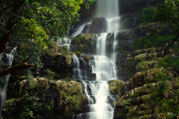Talakona Waterfall, the highest waterfall in the region and a scenic natural place to visit near Tirupati.