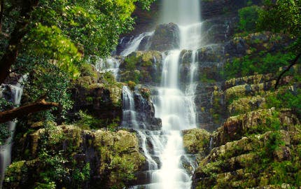 Talakona Waterfall, the highest waterfall in the Andhra Pradesh region near Tirupati.