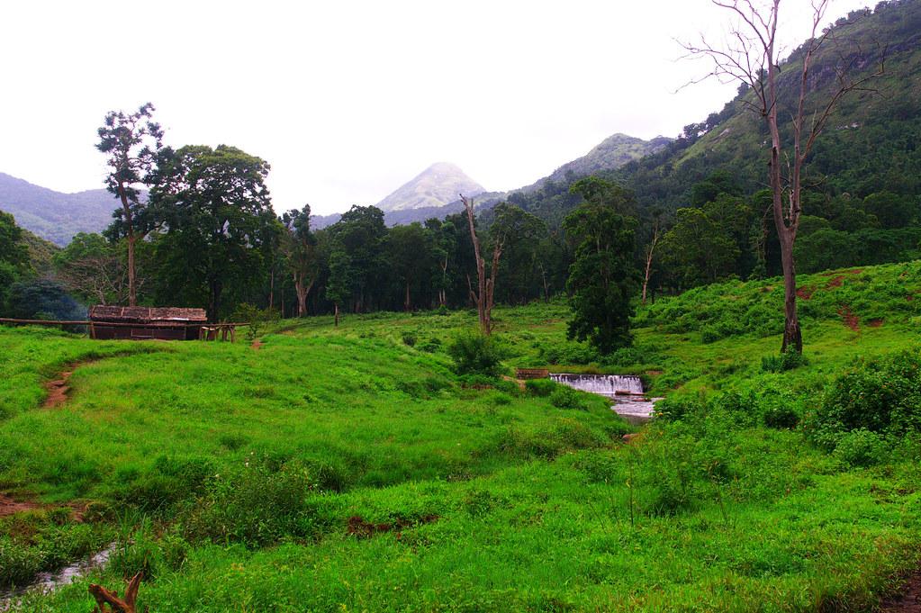Elephant sighting at Topslip, Anamalai Tiger Reserve, a wildlife destination near Coimbatore.