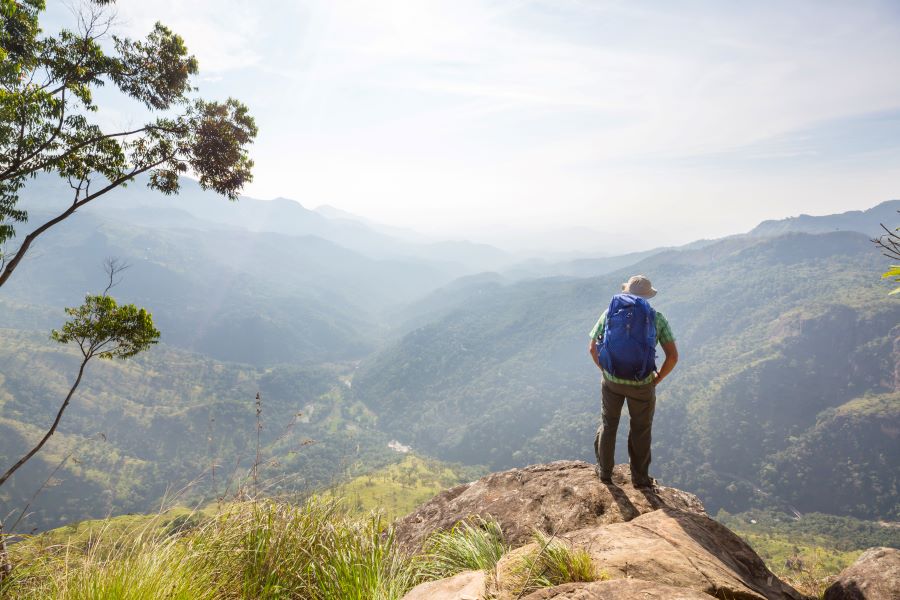 A group of trekkers hiking through the dense, misty shola grasslands of Kodaikanal.