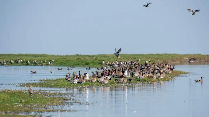 East India's Famous Wildlife and Bird Sanctuary is full of adventure