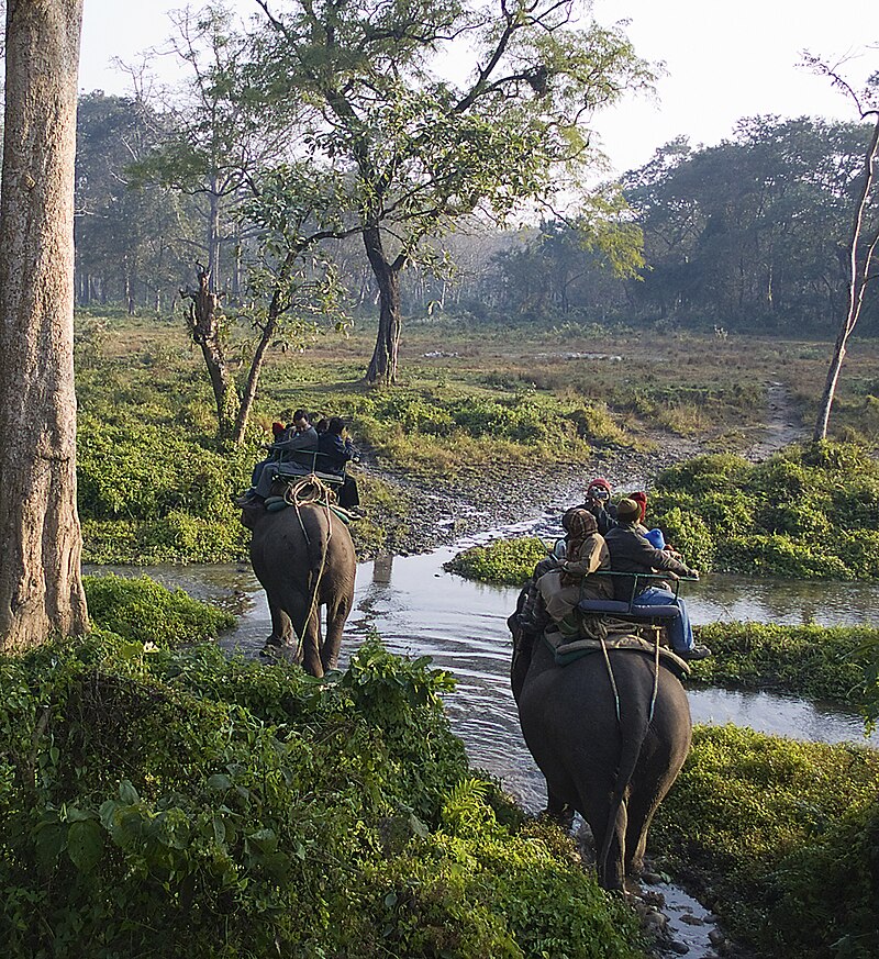 East India's Famous Wildlife and Bird Sanctuary is full of adventure