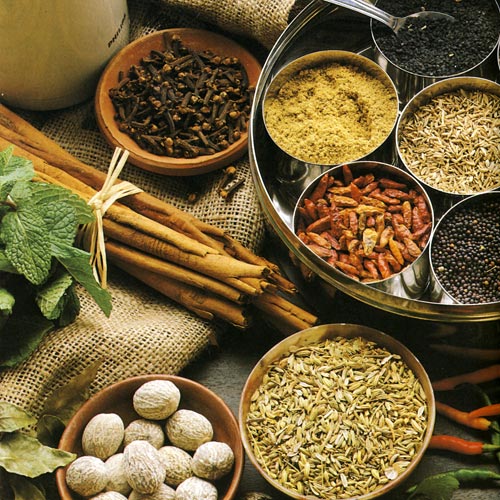 Many medicinal herbs and spices found in Haridwar
