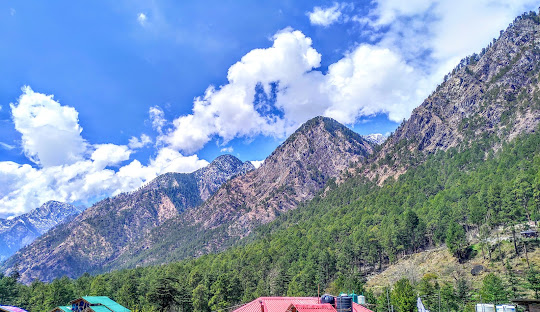 It has beautiful pine tree like structure all around.