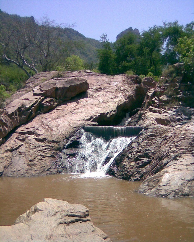 Trekking path through the dense, green canopy of the Amirthi Forest.