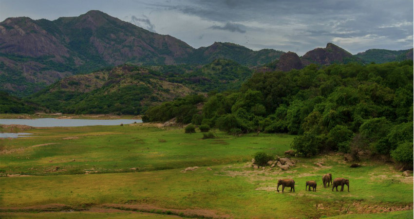 A panoramic view of the lush Anaimalai Hills, a beautiful natural place to visit near Coimbatore.