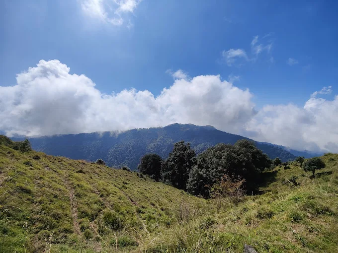 Home to many flora and fauna in Mussoorie