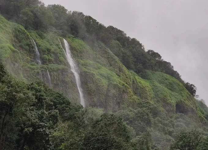 A beautiful place filled with greenery