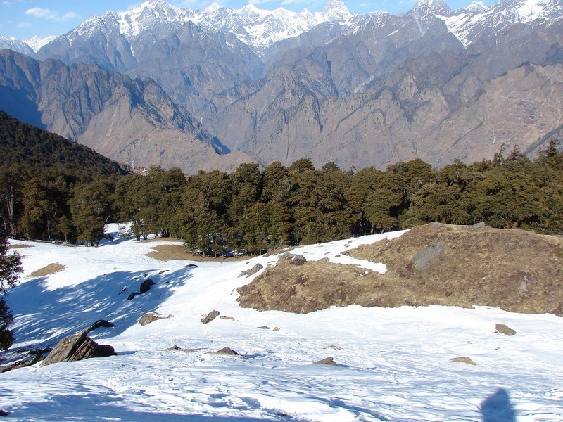 Expansive green meadows of Gurso Bugyal offering stunning Himalayan vistas, a top place to visit in Auli.