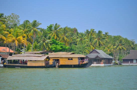 A lineup of traditional Kettuvallam houseboats with thatched roofs along a backwater shore.