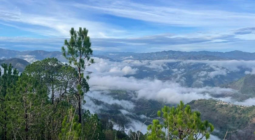 A peaceful village road in Khirsu lined with apple orchards and mountain views.