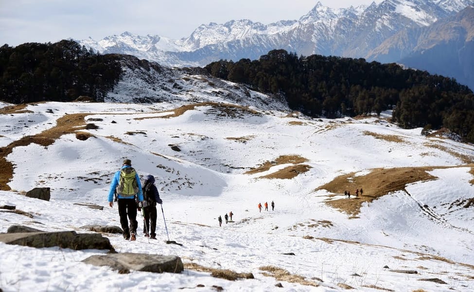 Trekkers on the scenic trail of the Kuari Pass Trek, which begins near Auli.