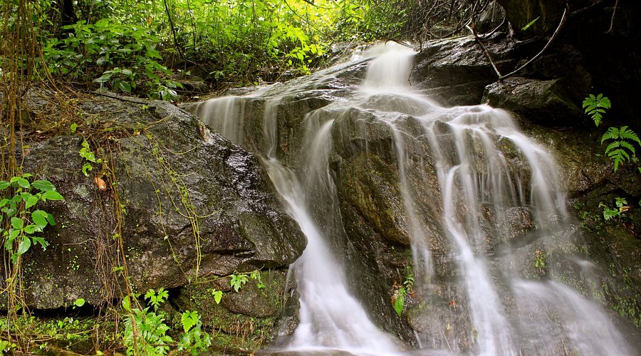 Known as the "Gateway to Wayanad," this misty viewpoint is a breathtaking place to visit near Kozhikode.