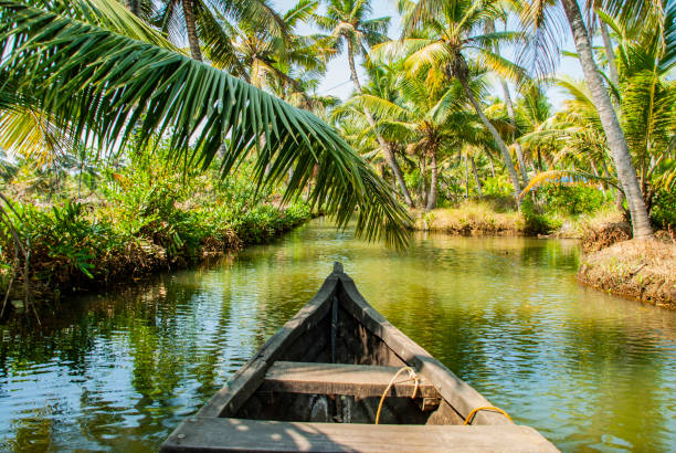 A traditional canoe navigating the narrow canals of Munroe Island's backwaters