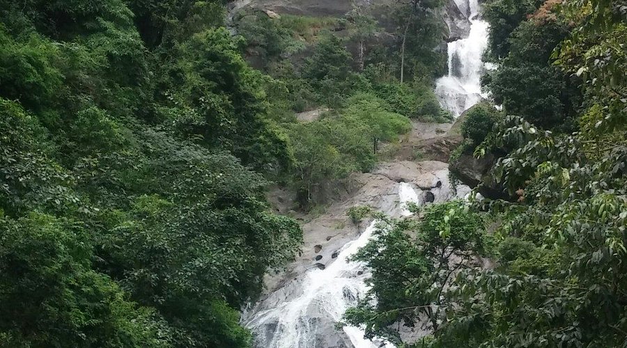 Siruvani Waterfalls flowing through dense forest.