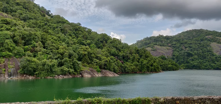 Aerial view of the lush green forests and eco-adventure structures at Thenmala near Kollam.