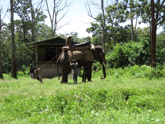 A jeep safari through the forest at Topslip in Anamalai Tiger Reserve.