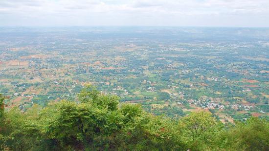 A panoramic view of the lush valleys and hills of Yelagiri, a scenic place to visit in Vellore.