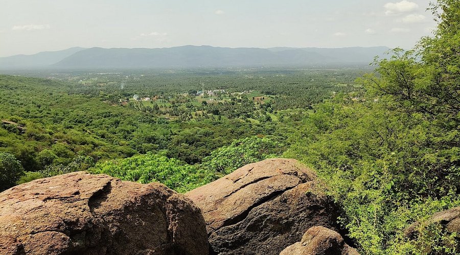 Hikers trekking through a forest trail on the Yelagiri hills near Vellore.