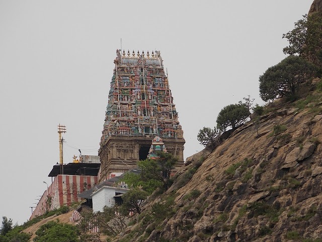 Close-up of the detailed stone idol of Yoga Narasimha at the Sholingur hill temple.