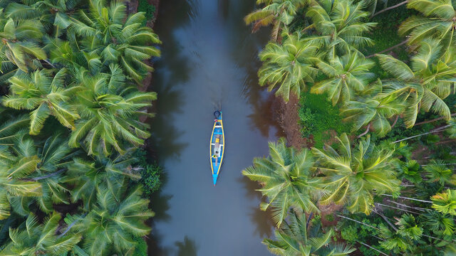 A serene network of palm-fringed canals and lagoons, the famous backwaters of Kerala.