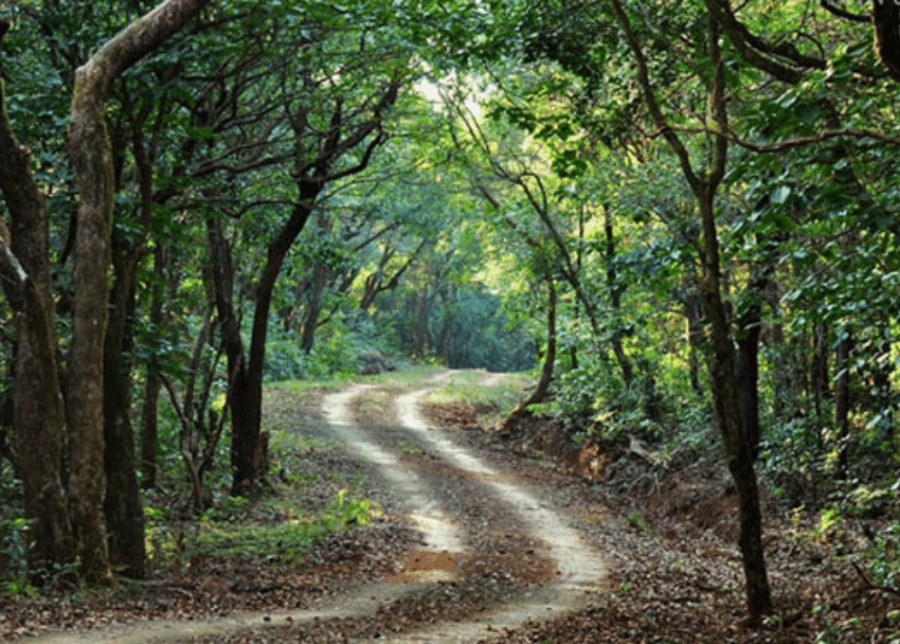 This place is filled with natural beauty