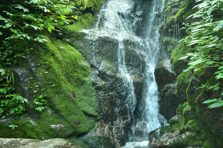 This is a wholesome waterfall near Dalhosuie