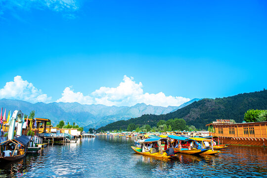 Dal Lake Dharamshala, a serene and peaceful place to visit in Dharamshala surrounded by forests.