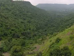 A pathway leading into the historic Dandaka Forest area in Chitrakoot.