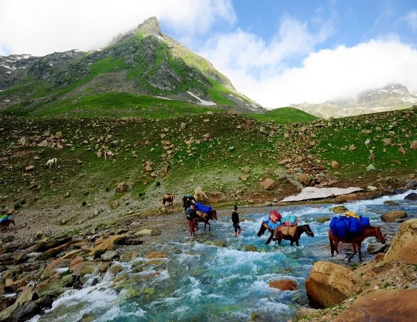 Trekking route for the Kashmir Great Lakes, a path through high-altitude meadows.