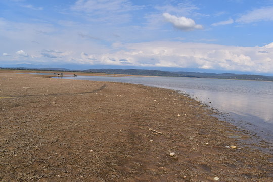 Pong Dam Lake, a large wetland reservoir known for bird watching.