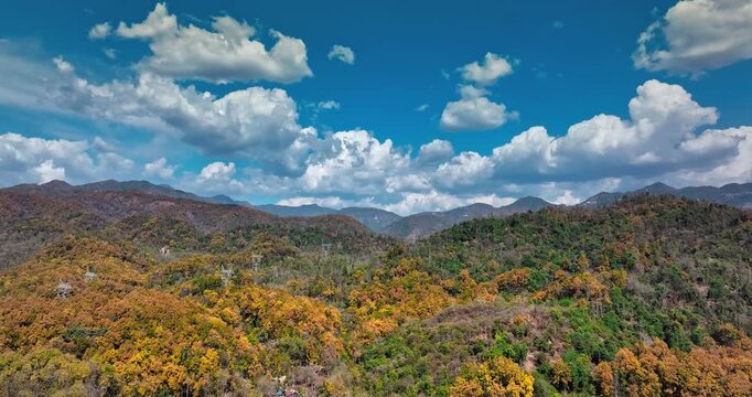 Wildlife safari in Rajaji National Park, a tiger reserve near Roorkee.