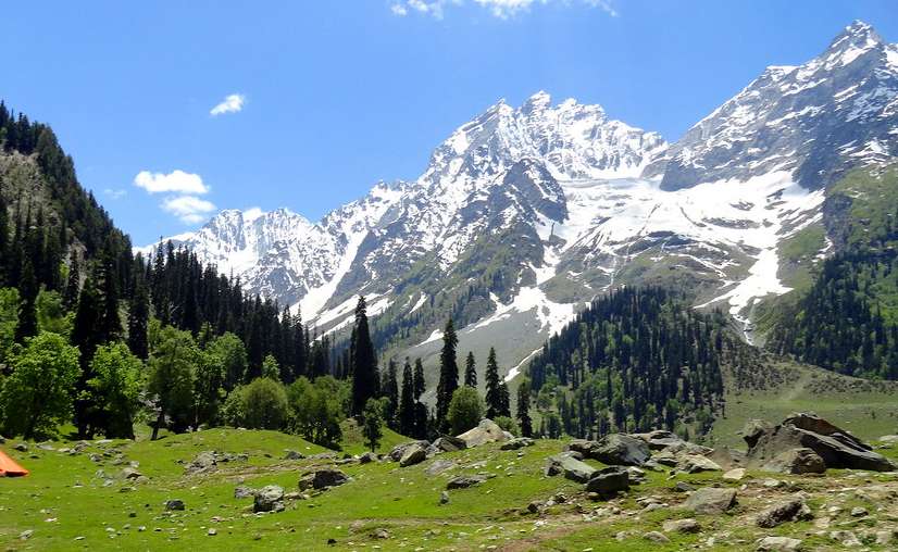 Thajiwas Wildlife Sanctuary, a protected natural area and serene place to visit in Sonmarg.