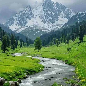 Yusmarg, the peaceful 'Meadow of Jesus' and a tranquil place to visit near Sonmarg.