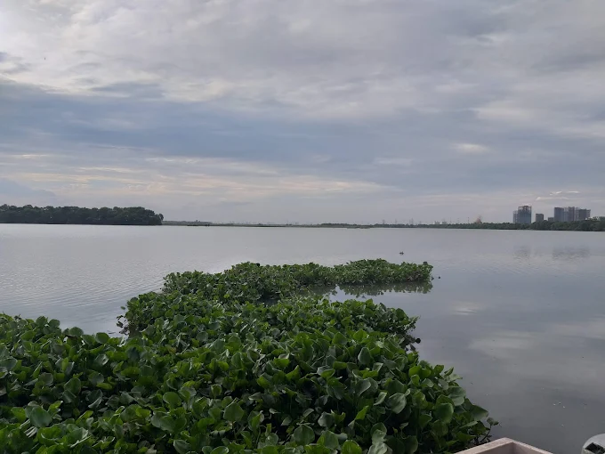 It offers beautiful city vibes